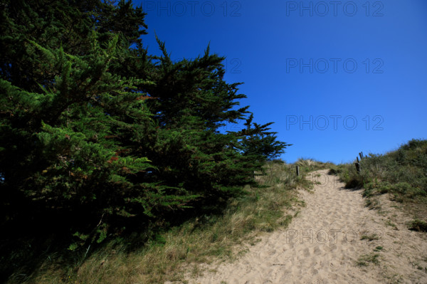 france, region Normandie, Manche, cotentin, plages du debarquement, Sainte-Marie du Mont,  Utah Beach,