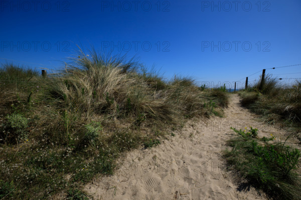 france, region Normandie, Manche, cotentin, plages du debarquement, Sainte-Marie du Mont,  Utah Beach,