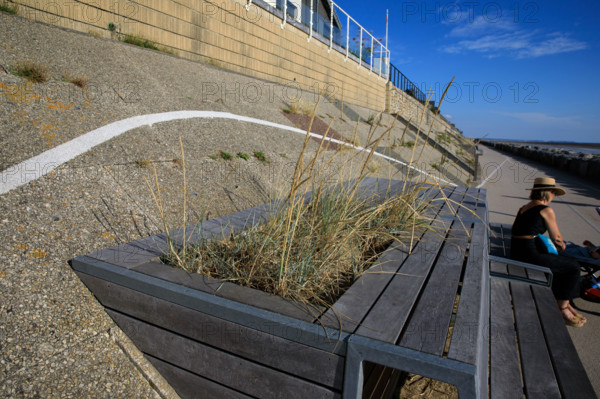 france, region Normandie, Manche, cotentin, Agon coutainville,  plage, promenade de Chausey,