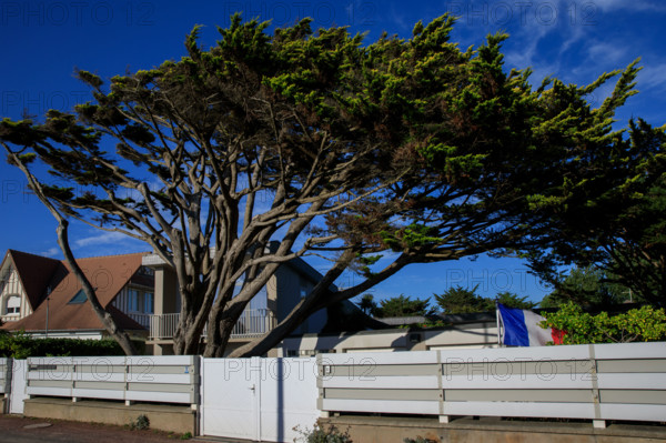 France, region Normandie, Manche, cotentin, Agon coutainville,  plage, rue dramad derriere la promenade de Chausey,