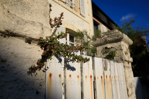 France, region Normandie, Manche, cotentin, Agon coutainville,  plage, rue dramad derriere la promenade de Chausey,