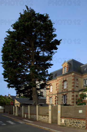 France, region Normandie, Manche, cotentin, Agon coutainville, villas derière la plage, promenade de chausey,
