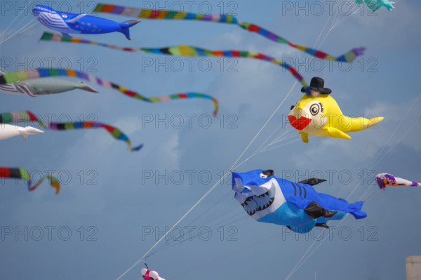 Dieppe, Festival international du cerf volant, édition 2025