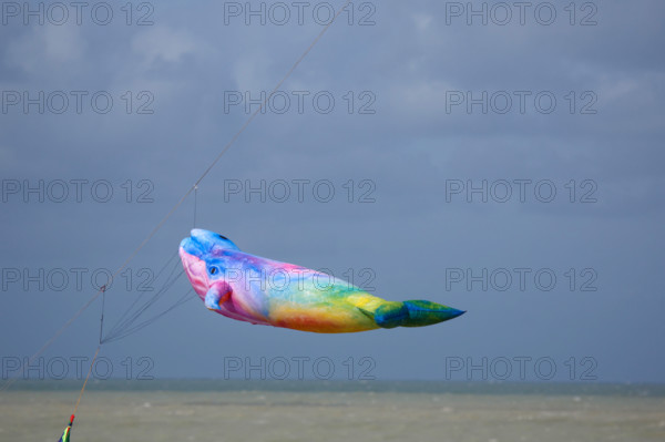 Dieppe, Festival international du cerf volant, édition 2025