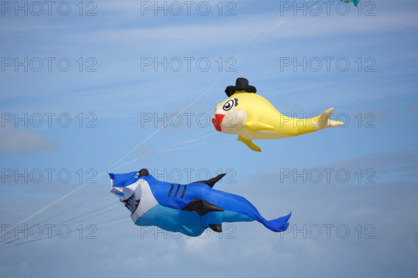 Dieppe, Festival international du cerf volant, édition 2025