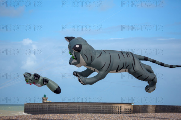 Dieppe, Festival international du cerf volant, édition 2025