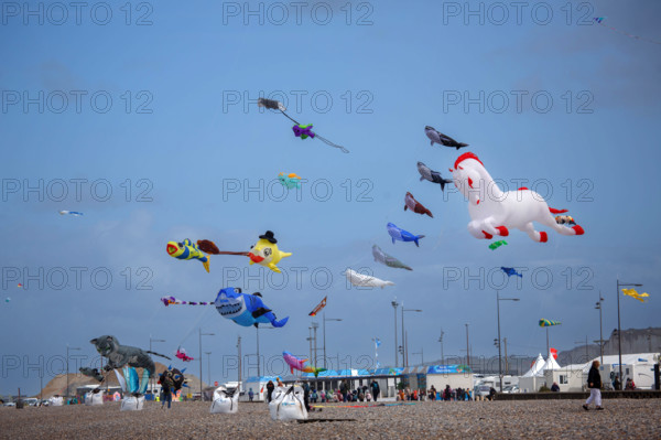 Dieppe, Festival international du cerf volant, édition 2025