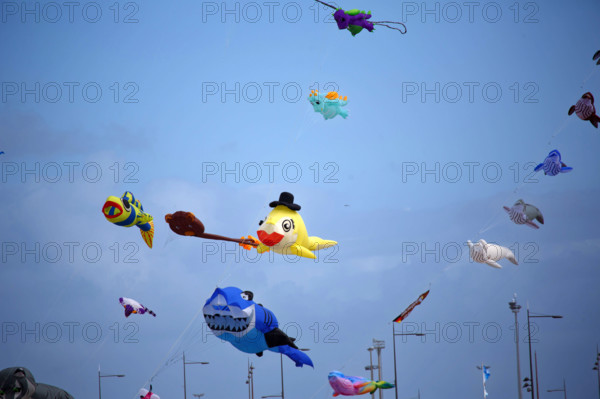 Dieppe, Festival international du cerf volant, édition 2025