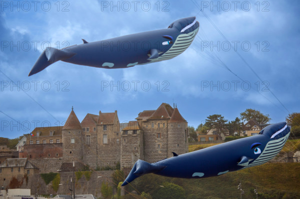 Dieppe, Festival international du cerf volant, édition 2025