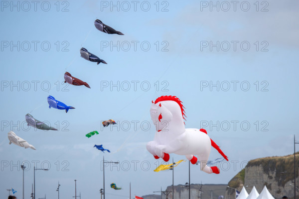 Dieppe, Festival international du cerf volant, édition 2025