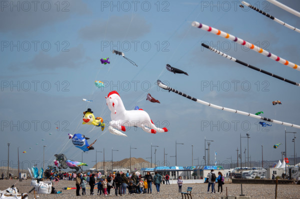 Dieppe, Festival international du cerf volant, édition 2025