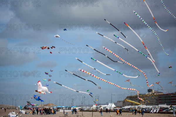 Dieppe, Festival international du cerf volant, édition 2025