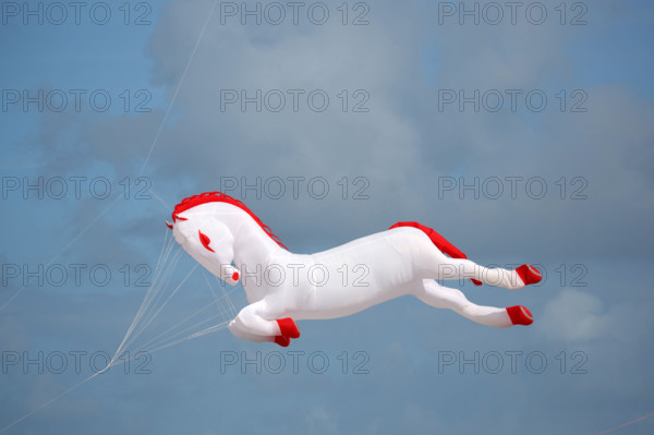 Dieppe, Festival international du cerf volant, édition 2025