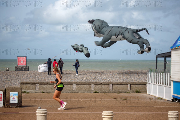 Dieppe, Festival international du cerf volant, édition 2025