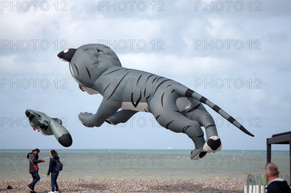 Dieppe, Festival international du cerf volant, édition 2025