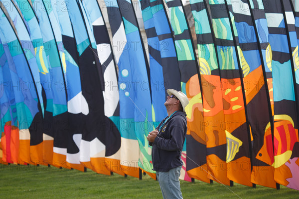 Dieppe, Festival international du cerf volant, édition 2025