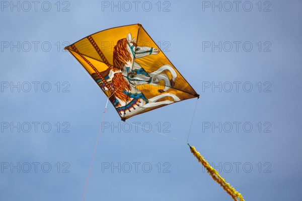 Dieppe, Festival international du cerf volant, édition 2025