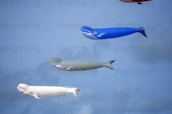 Dieppe, Festival international du cerf volant, édition 2025