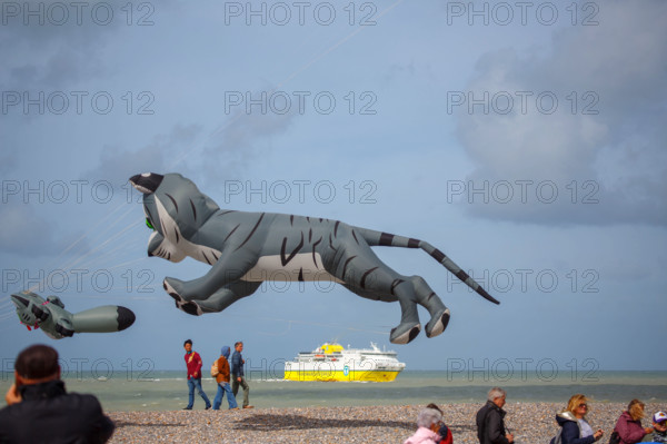 Dieppe, Festival international du cerf volant, édition 2025
