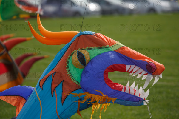 Dieppe, Festival international du cerf volant, édition 2025