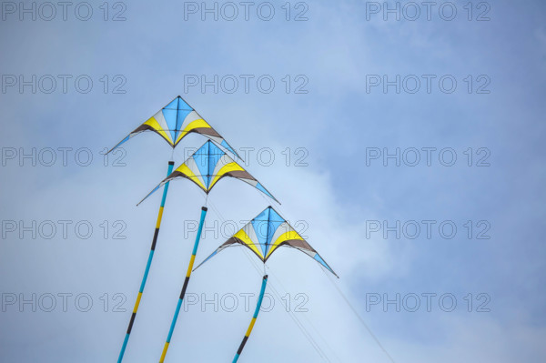 Dieppe, Festival international du cerf volant, édition 2025