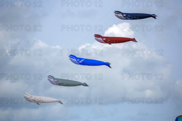 Dieppe, Festival international du cerf volant, édition 2025