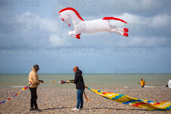 Dieppe, Festival international du cerf volant, édition 2025