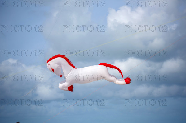 Dieppe, Festival international du cerf volant, édition 2025