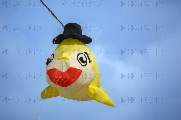 Dieppe, Festival international du cerf volant, édition 2025