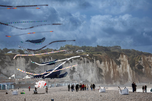 Dieppe, Festival international du cerf volant, édition 2025