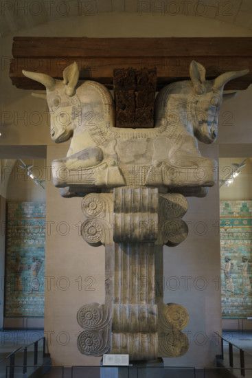 France, région Ile de France, Paris 1e arrondissement, musee du Louvre, antiquités orientales, decor du palais du roi Darius 1er, chapiteau à avant-train (protome) taureau