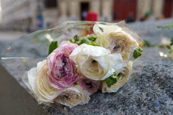 Place du 13 novembre 2015, Paris