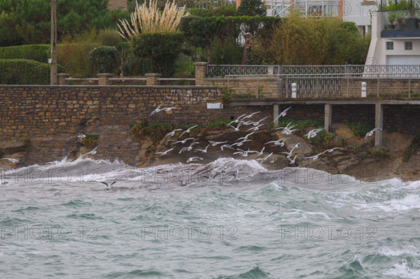 france region Bretagne, Finistère sud, Concarneau, grandes marées sur la corniche,
