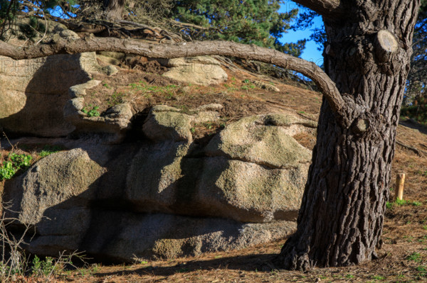 france, région Bretagne, Côtes d'Armor, côte de granit rose, Ploumanac'h, les rochers
