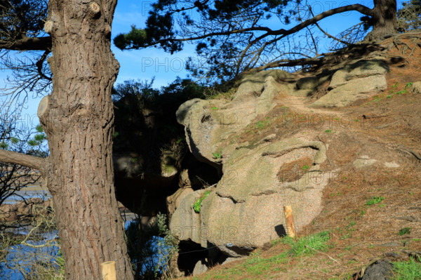 france, région Bretagne, Côtes d'Armor, côte de granit rose, Ploumanac'h, les rochers