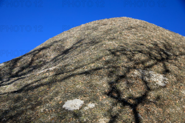 france, région Bretagne, Côtes d'Armor, côte de granit rose, Ploumanac'h, les rochers