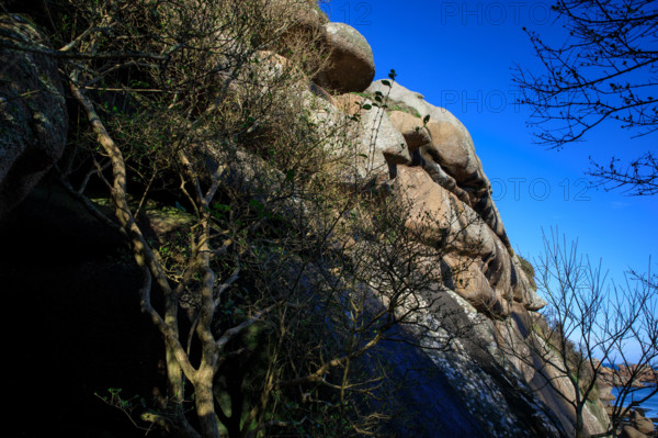 france, région Bretagne, Côtes d'Armor, côte de granit rose, Ploumanac'h, les rochers