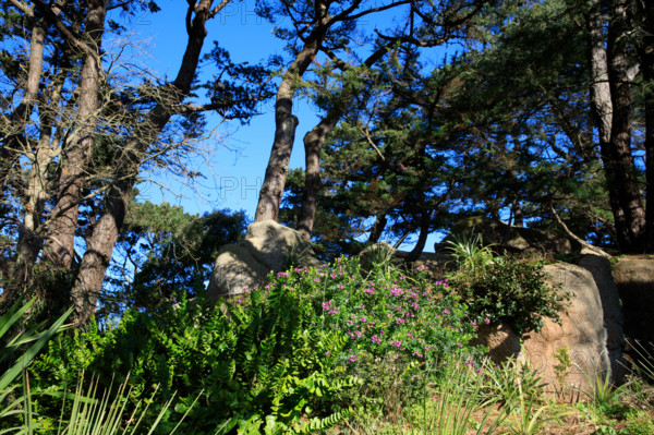 france, région Bretagne, Côtes d'Armor, côte de granit rose, Ploumanac'h, les rochers