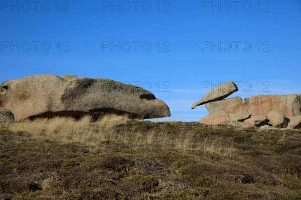france, région Bretagne, Côtes d'Armor, côte de granit rose, Ploumanac'h, les rochers