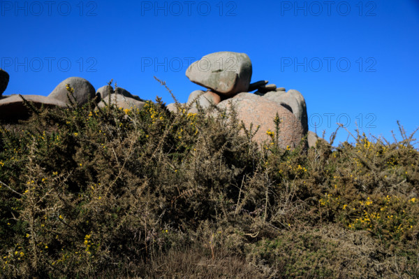 france, région Bretagne, Côtes d'Armor, côte de granit rose, Ploumanac'h, les rochers