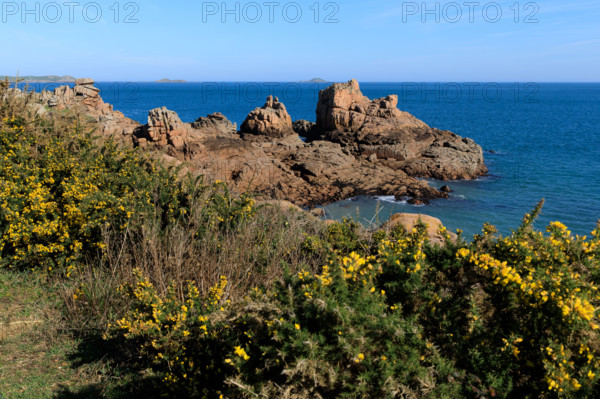 france, région Bretagne, Côtes d'Armor, côte de granit rose, Ploumanac'h, les rochers