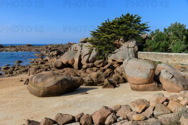 france, région Bretagne, Côtes d'Armor, côte de granit rose, Trégastel,, presqu'ile Renote,
