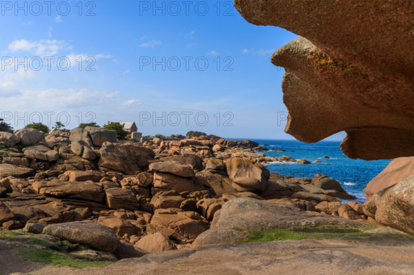 france, région Bretagne, Côtes d'Armor, côte de granit rose, Trégastel,, presqu'ile Renote,