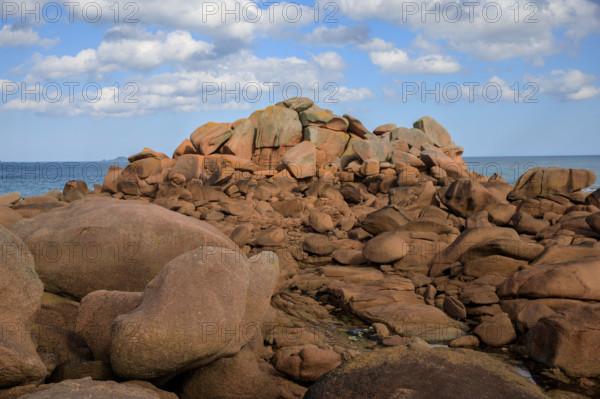 france, région Bretagne, Côtes d'Armor, côte de granit rose, Trégastel,, presqu'ile Renote,