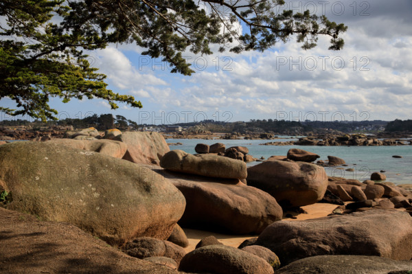 france, région Bretagne, Côtes d'Armor, côte de granit rose, Trégastel,, presqu'ile Renote,