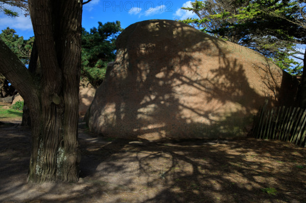 france, région Bretagne, Côtes d'Armor, côte de granit rose, Trégastel,, presqu'ile Renote,