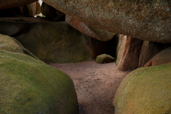 france, région Bretagne, Côtes d'Armor, côte de granit rose, Trégastel,, presqu'ile Renote,
