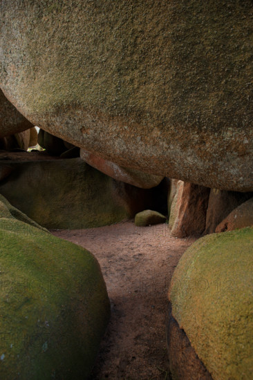 france, région Bretagne, Côtes d'Armor, côte de granit rose, Trégastel,, presqu'ile Renote,