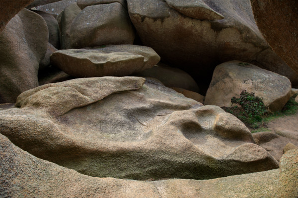 france, région Bretagne, Côtes d'Armor, côte de granit rose, Trégastel,, presqu'ile Renote,