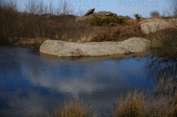 france, région Bretagne, Côtes d'Armor, côte de granit rose, Trégastel,, presqu'ile Renote,